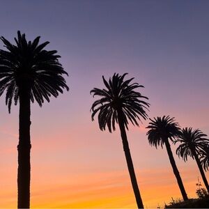 Meet your Posher, N🌸